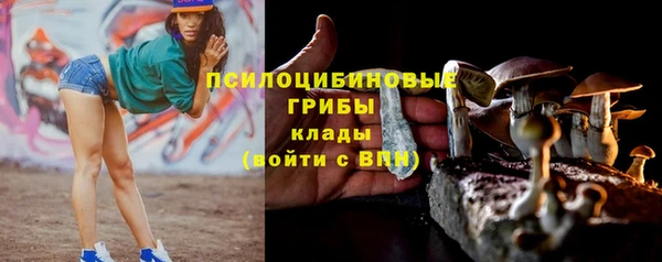 мяу мяу мука Балабаново