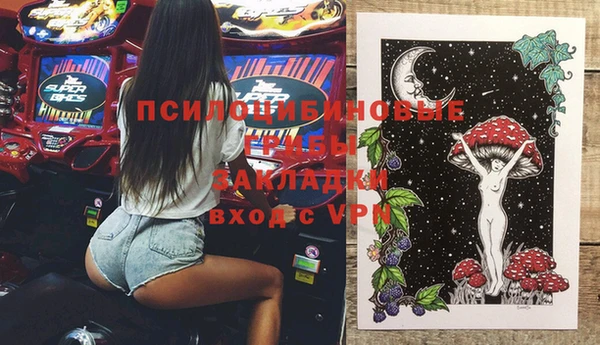 гидра Семёнов