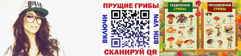 omg как войти  что такое   Куровское  Псилоцибиновые грибы мухоморы 